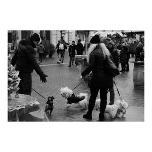 Immagine 13