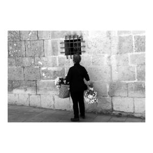 Immagine 5